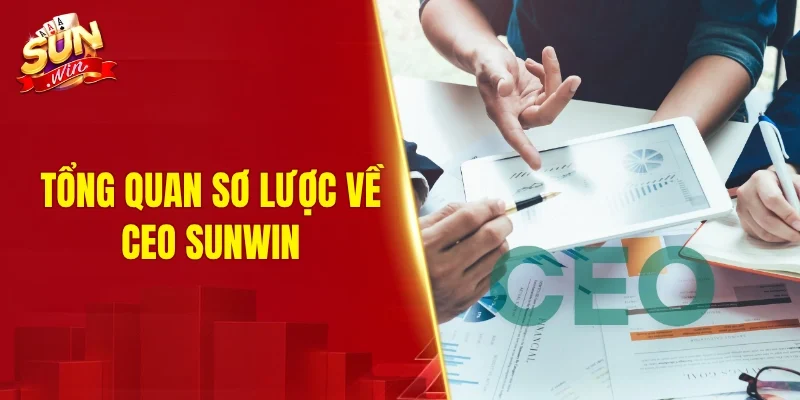 Tổng quan sơ lược về CEO SUNWIN 